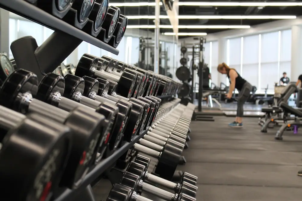 Iron Temple Gym preview